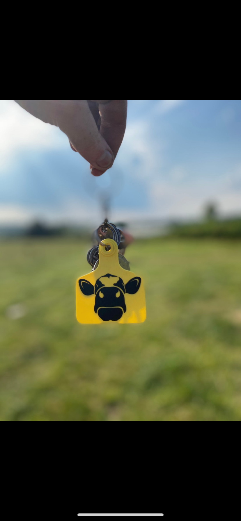 Cow tag keychain