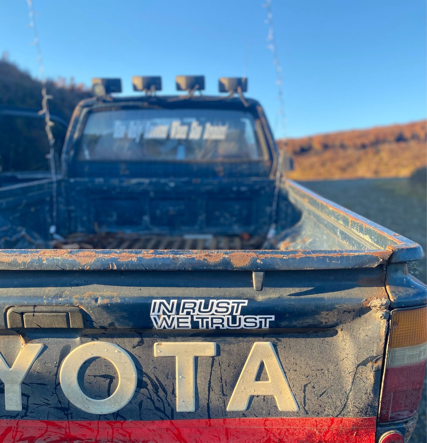 In Rust We Trust